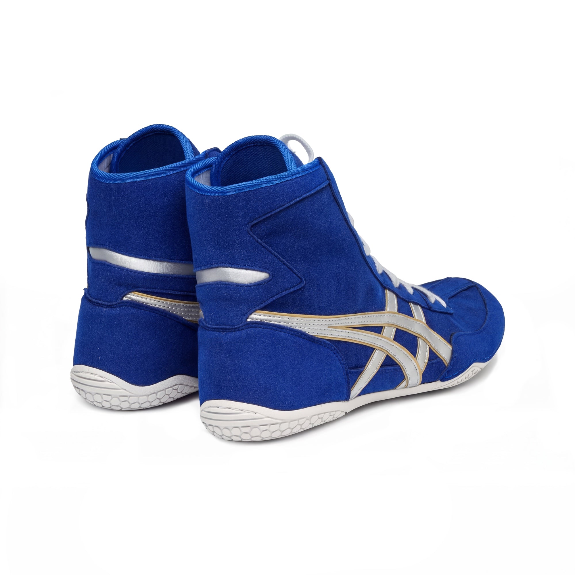ASICS EX-EO wrestling shoes blue/silver | WrestlerStore